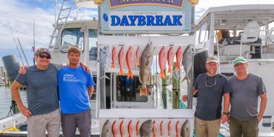 Fishing Charters Florida | Seasonal 4 to 8 Hour Summer Charter Trip (Daybreak)