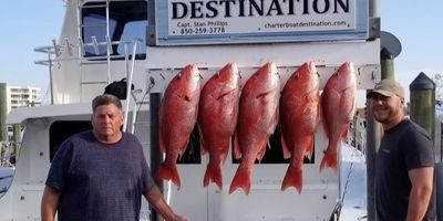 Destin Fishing Charters | Seasonal AM or PM 6 to 8 Hour Summer Charter Trip (The Destination)