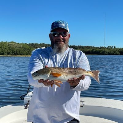 Inshore Fishing in Holiday, FL