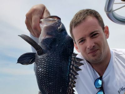 Sea Bass Fishing In Point Pleasant NJ	