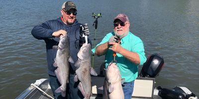 8 Hour Lake of the Ozarks Fishing (2 people)