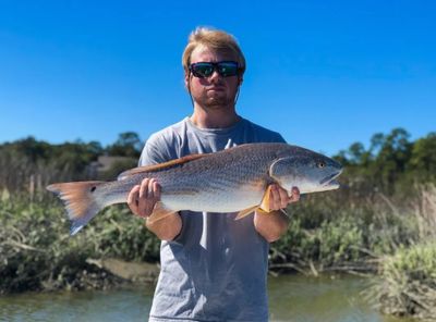 6-Hour Morning Fishing Trip in Hilton Head Island, SC