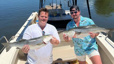 Long Island, NY 4 Hour Inshore Trip