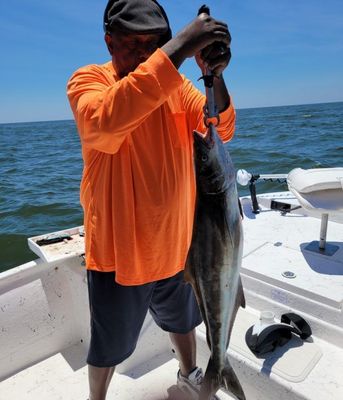 Gulf of Mexico 6 Hour Offshore Morning Trip