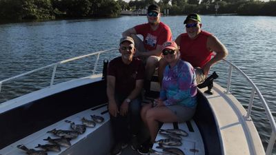 Half Day Fishing Trip in St. Petersburg, FL