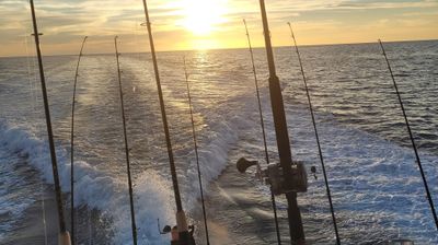 Offshore Fishing Trip in Tierra Verde, FL