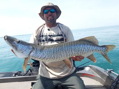 Lake St. Claire, MI Muskies Full-day Fishing Trip