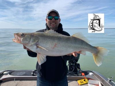 Detroit River, MI Walleye Fishing Adventure