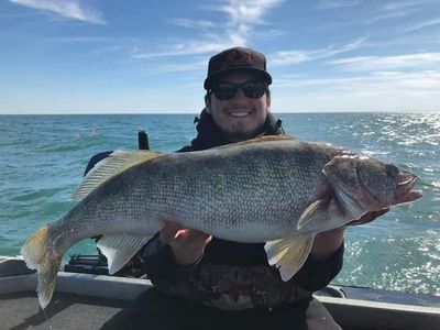 Lake Erie, MI Full-day Walleye Fishing Trip