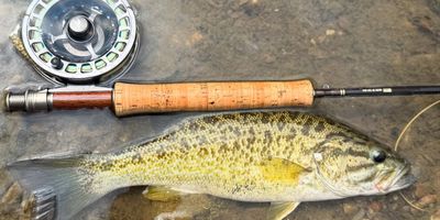 Full Day Fly Fishing Trip – Explore All Day