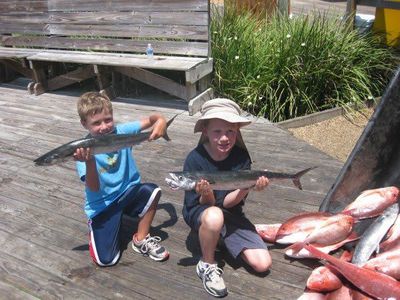 Orange Beach - 4 hour  Fishing Trips