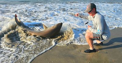 Surf FIshing