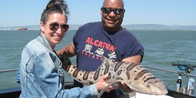 Sport Fishing San Francisco