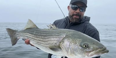 Harwich Fishing Charters | 4 Hour Inshore Fishing