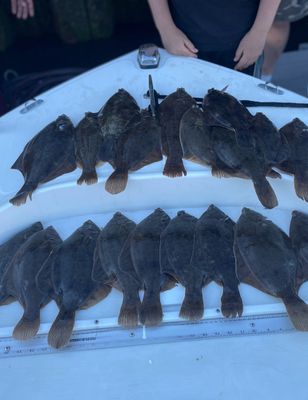 4HR Flounder Trip