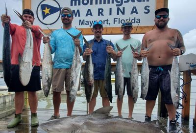 8-Hour Private Offshore Trip – Blood Line Boat