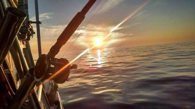 Harbour Cruise