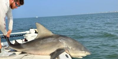 Southport Fishing Charters | Half Day Charter Trip