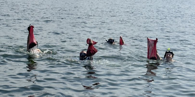 Steinhatchee Scalloping | 4- 6 Hour Charter Trip 