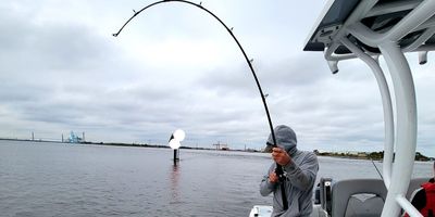 Fishing Charters Jacksonville