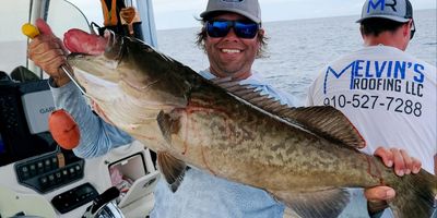 Fishing Charters in North Carolina