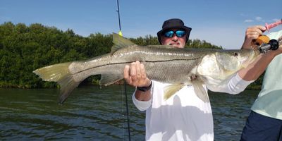 Florida Full Day Fishing Charter