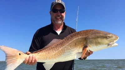 Redfish Fishing Trips (Fall/Winter/Spring)