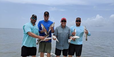 Galveston Bay Fishing Charter | Private 5 to 8 hour Charter Trip