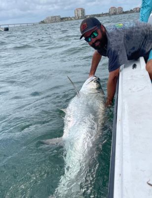 St Petersburg Florida Fishing Charters