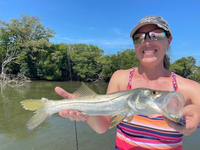 Islamorada, FL 4 Hour Trip (AM/PM)