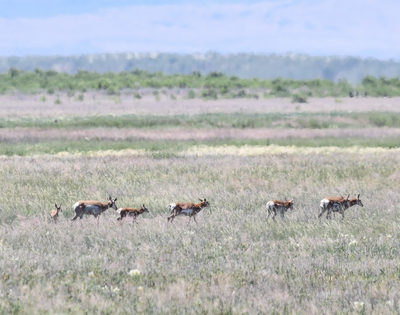 Malheur National Wildlife Refuge | 8 Hour Trip