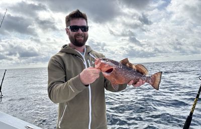 6 Hours Day Fishing Charter- Offshore Action in West Palm Beach FL