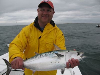 False Albacore Charter Fishing Off Beaufort, NC | 6 HR Private Trip