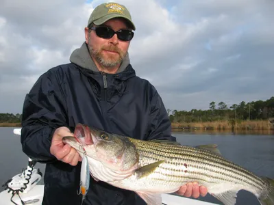 New Bern/Neuse River Full Day