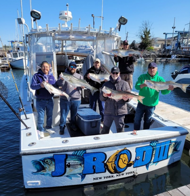 Explore New York City Fishing Charters | Private - 4 Hour Weekend Seasonal Trip 