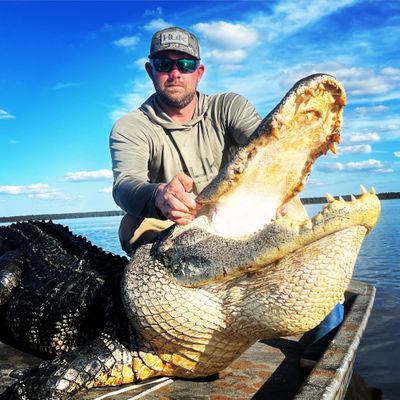 Florida Guided Gator Hunt – 6 Hour AM Trip (Up to 4 Guests)