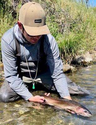Walk And Wade Fly Fishing Trip On Putah Creek