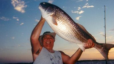 Fort Myers fishing Trip | Full Day Trip - Back Bay