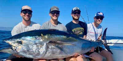 Tuna Fishing Trips - Massachusetts