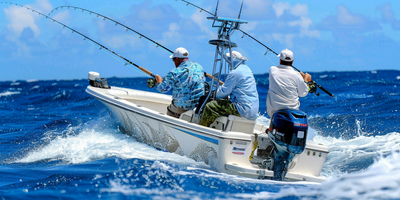 Private 4 Hour Wreck & Reef Fishing In Islamorada 