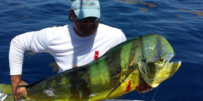 Private 8 Hour Offshore Fishing In Islamorada