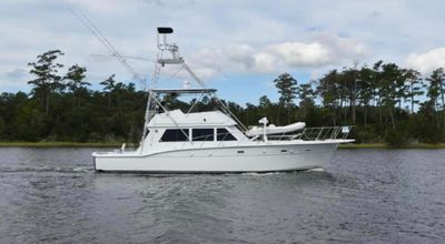 Sneads Ferry Fishing Charters | Private 11 Hour Charter Trip 