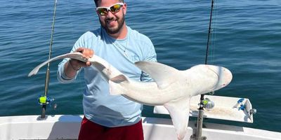 Shark Fishing In Norfolk VA | 8HR Private Trip