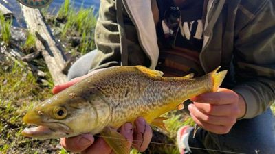 Utah Fly Fishing Guides | 8 Hour Fishing Trip in Strawberry Reservoir