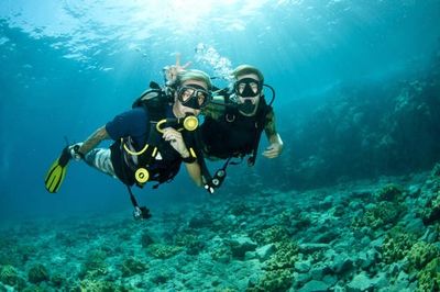 Starting Scuba Diving Courses | Discover Scuba(Open Water)