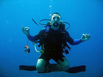 Professional Courses |  Divemaster