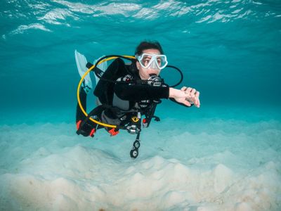 Professional Courses |  Dive Theory