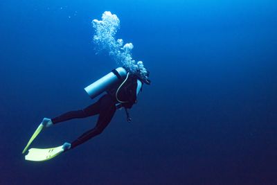 Starting Scuba Diving Courses | PADI Open Water(E-Learning)