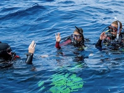 Specialty Courses | Search And Recovery Diver