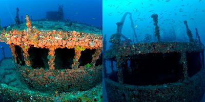 Specialty Courses | PADI Wreck Specialty Course